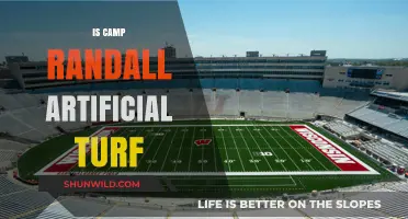 Is Camp Randall's Field Artificial Turf? Uncovering the Truth