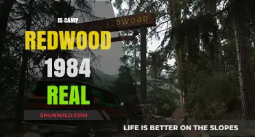 Uncovering the Truth: Is Camp Redwood 1984 a Real Location?