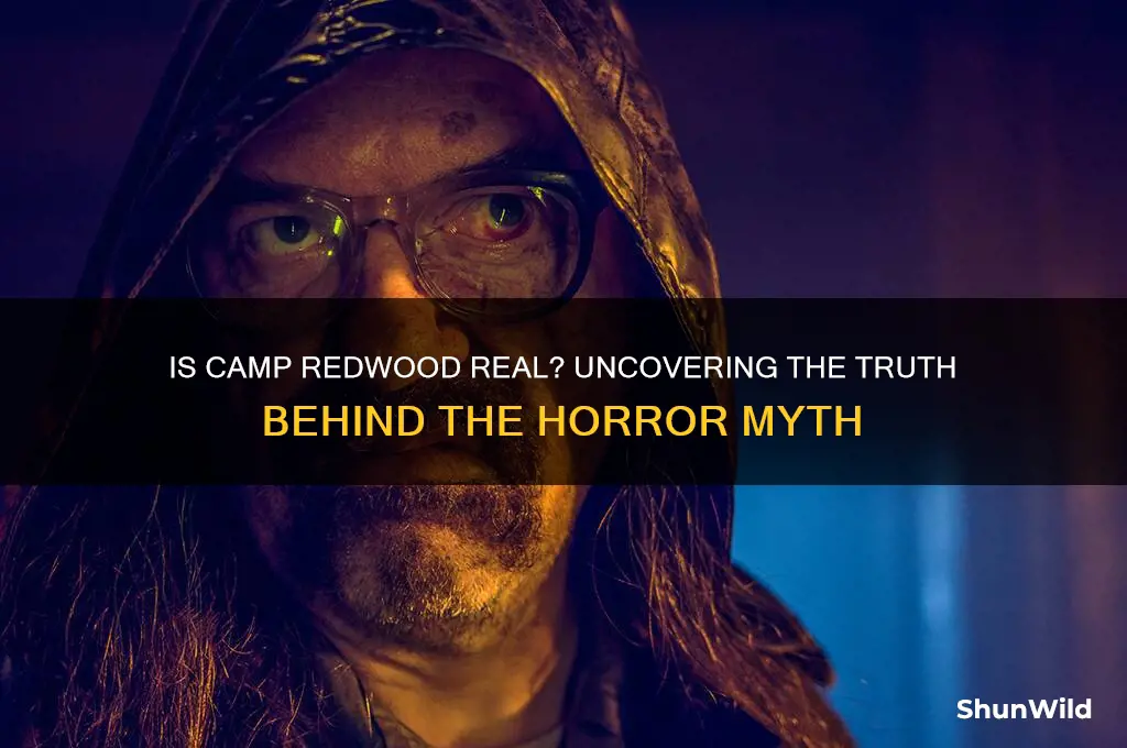 is camp redwood real