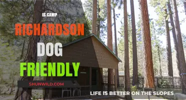 Is Camp Richardson Dog Friendly? A Pet Owner's Guide
