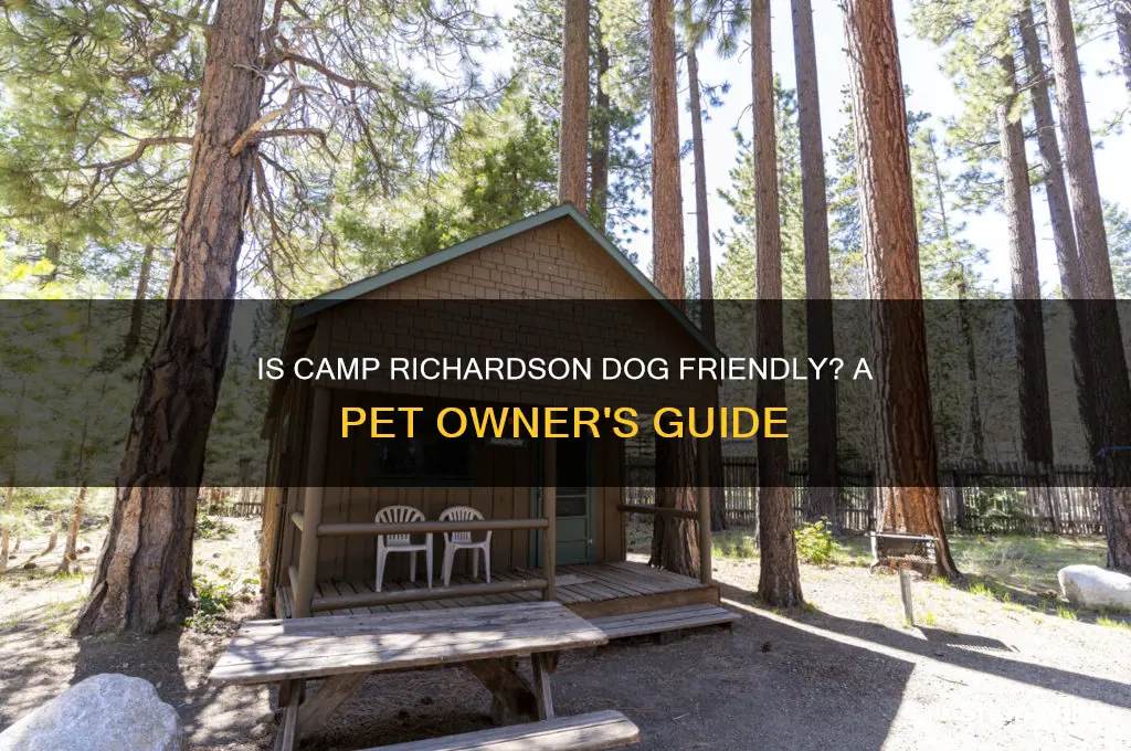 is camp richardson dog friendly