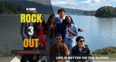 Camp Rock 3: Is the Sequel Finally Happening?