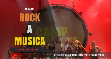 Is Camp Rock a Musical? Exploring the Disney Hit's Genre