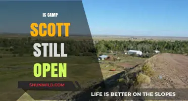 Is Camp Scott Still Open? Current Status and Updates Revealed