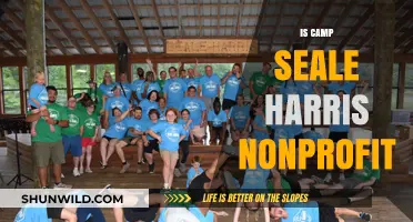 Is Camp Seale Harris a Nonprofit? Exploring Its Status and Mission
