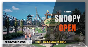 Is Camp Snoopy Open? Check Current Status and Operating Hours
