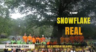 Is Camp Snowflake Real? Uncovering the Truth Behind the Myth