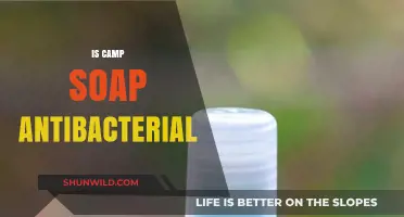 Is Camp Soap Antibacterial? Uncovering the Truth for Outdoor Hygiene