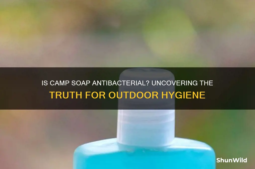 is camp soap antibacterial