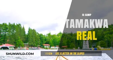 Is Camp Tamakwa Real? Unveiling the Truth Behind the Iconic Camp