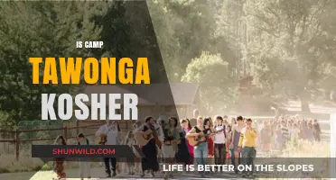 Is Camp Tawonga Kosher? Exploring Jewish Observance at the Camp