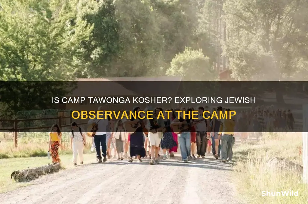 is camp tawonga kosher