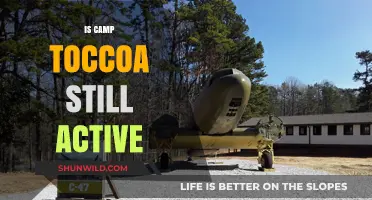 Is Camp Toccoa Still Active? Exploring the Legacy and Current Status
