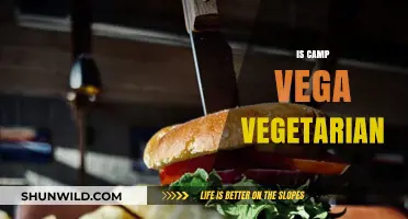 Is Camp Vega Vegetarian? Exploring the Camp's Food Options