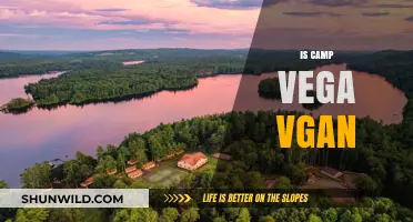 Is Camp Vega Vegan-Friendly? Exploring the Camp's Food Options