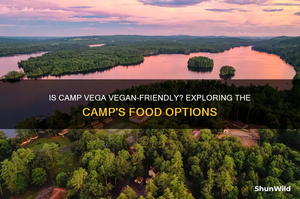 is camp vega vgan