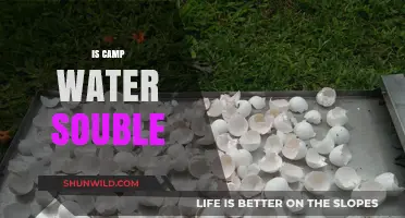 Is Camp Water Soluble? Understanding Its Properties and Uses