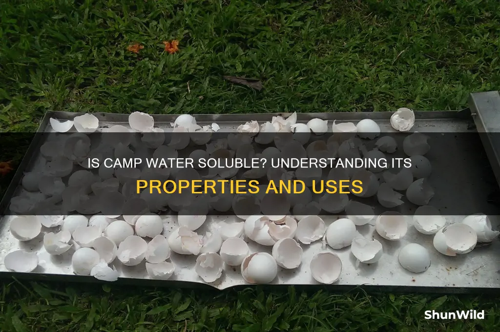 is camp water souble