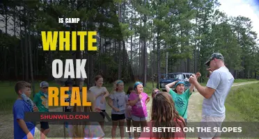 Is Camp White Oak Real? Uncovering the Truth Behind the Myth
