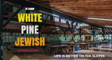 Is Camp White Pine a Jewish Camp? Exploring Its Identity