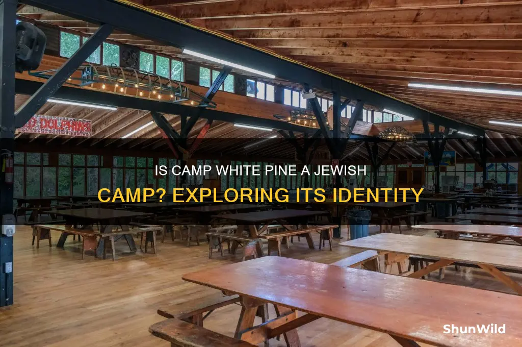 is camp white pine jewish