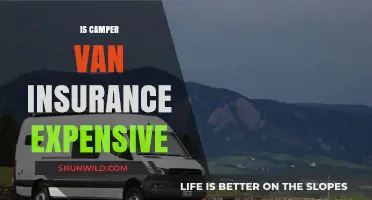 Is Camper Van Insurance Expensive? Costs, Factors, and Savings Tips