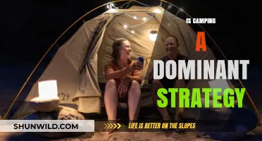 Is Camping a Dominant Strategy in Outdoor Adventures?