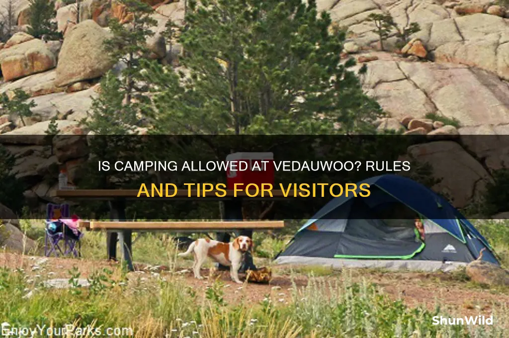 is camping allowed at vedauwoo