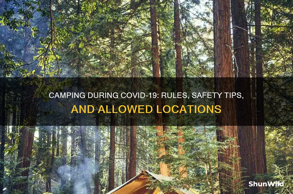 is camping allowed covid