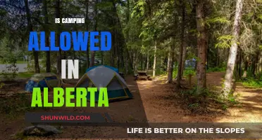 Camping in Alberta: Rules, Permits, and Best Spots to Explore