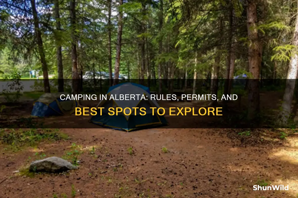 is camping allowed in alberta