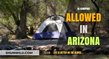 Camping in Arizona: Rules, Permits, and Best Spots to Explore