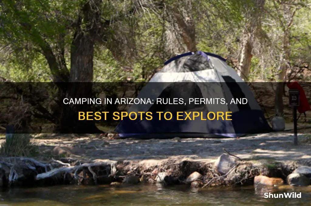 is camping allowed in arizona