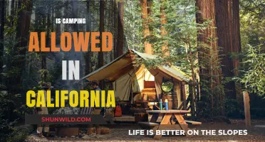 Is Camping Allowed in California? Rules, Locations, and Tips