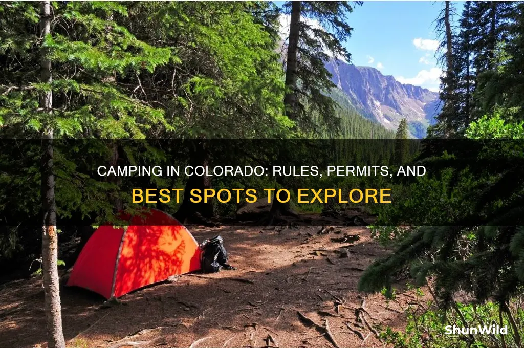 is camping allowed in colorado