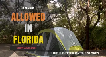 Is Camping Allowed in Florida? Rules, Locations, and Tips for Outdoor Adventures