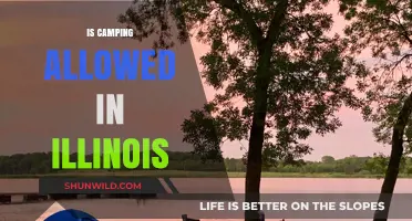 Camping in Illinois: Rules, Locations, and Tips for Outdoor Adventures