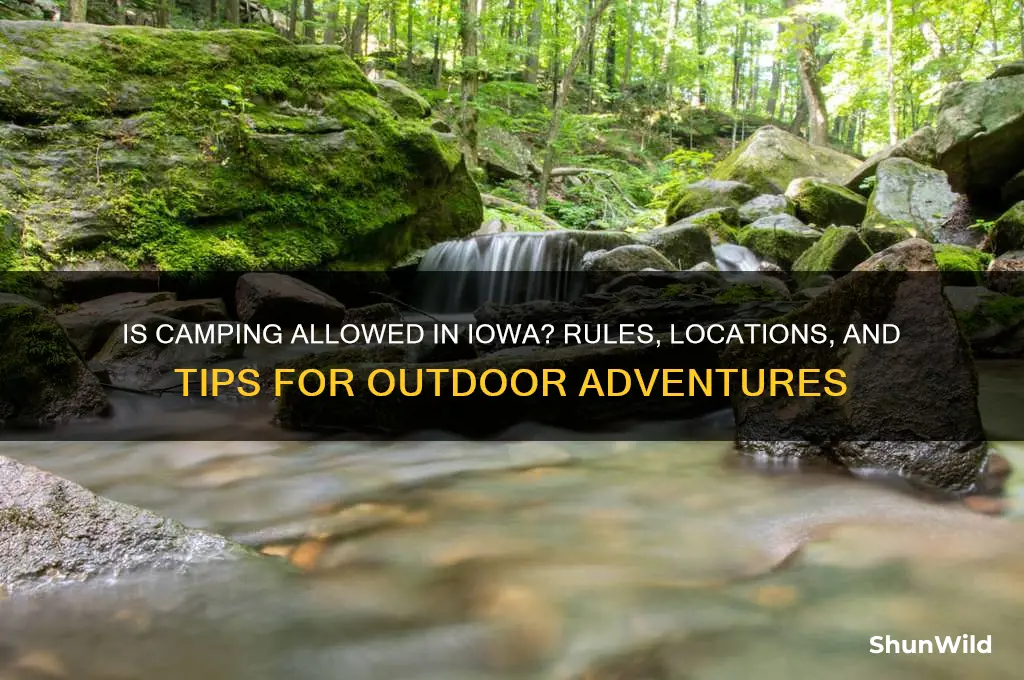 is camping allowed in iowa