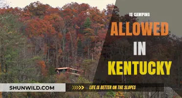 Camping in Kentucky: Rules, Permits, and Best Spots to Explore
