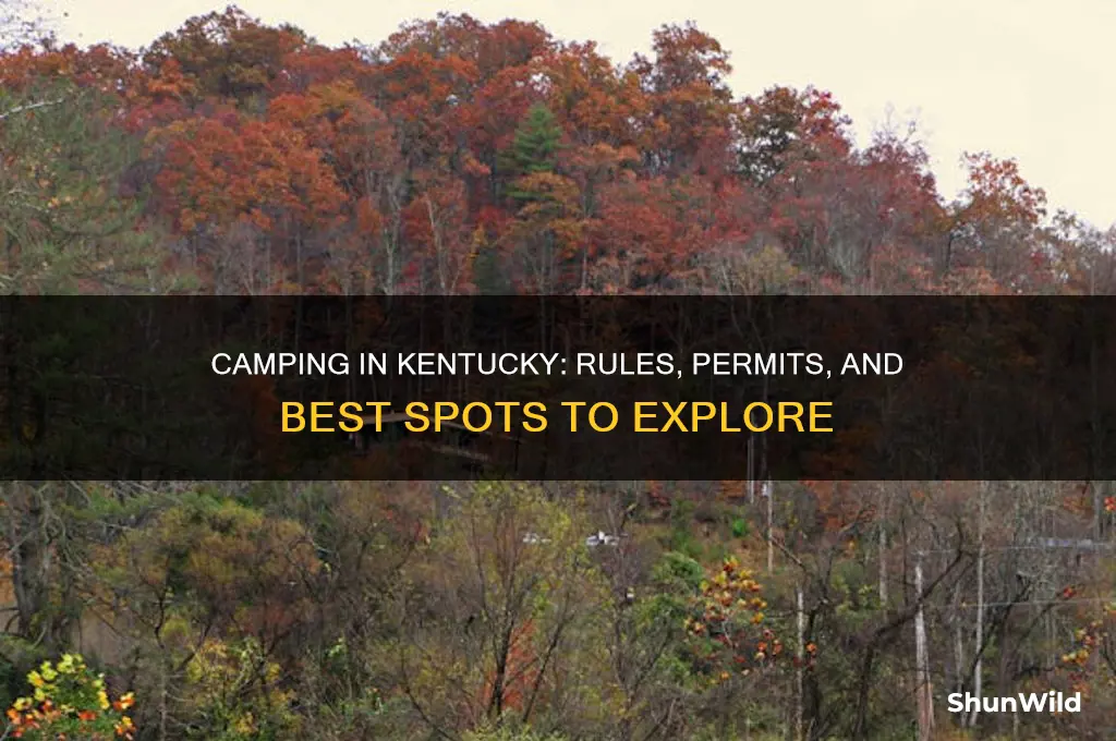 is camping allowed in kentucky