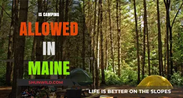 Camping in Maine: Rules, Permits, and Best Spots to Explore