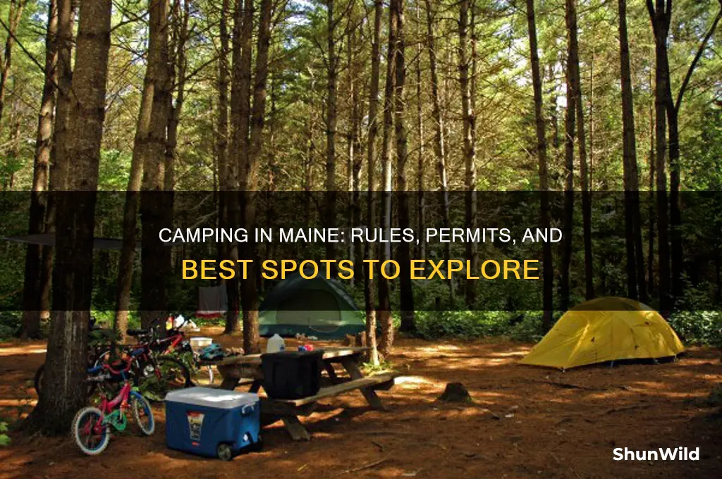 is camping allowed in maine