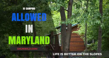 Camping in Maryland: Rules, Permits, and Best Spots to Explore