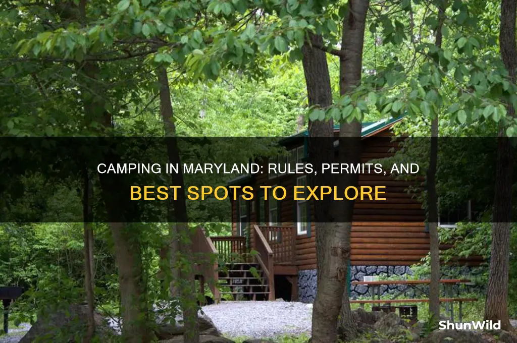 is camping allowed in maryland