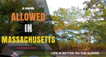 Camping in Massachusetts: Rules, Locations, and Permits Explained
