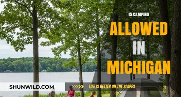 Camping in Michigan: Rules, Permits, and Best Spots to Explore