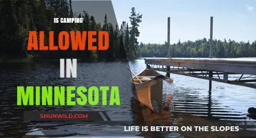 Camping in Minnesota: Rules, Regulations, and Best Spots to Explore
