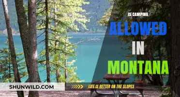 Camping in Montana: Rules, Permits, and Best Spots to Explore