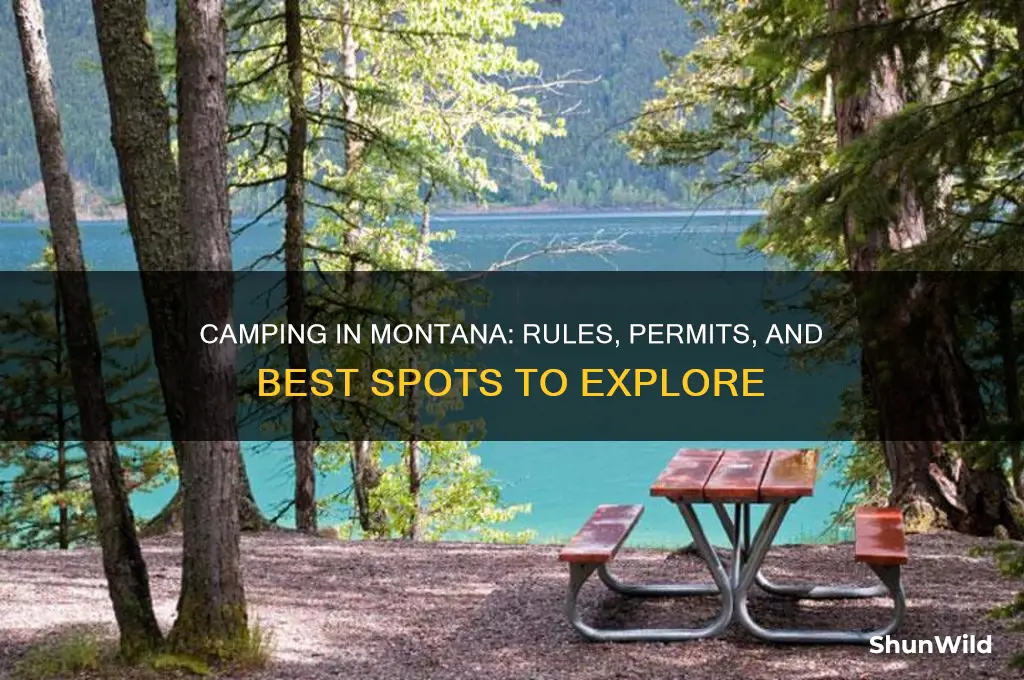 is camping allowed in montana