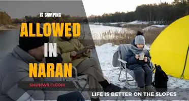 Is Camping Allowed in Naran? A Comprehensive Guide for Travelers